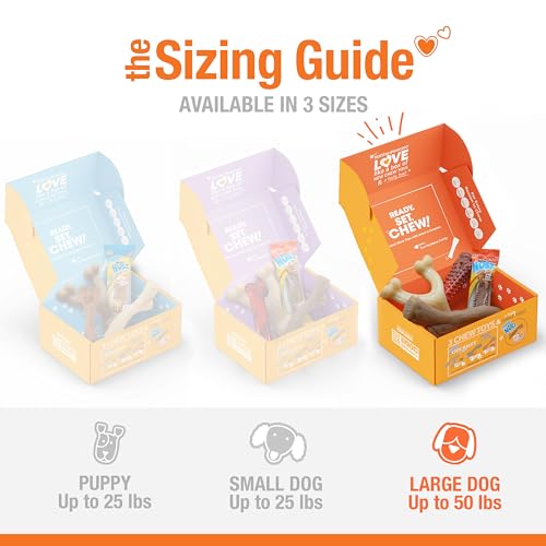 Nylabone Dog Gift Box, Strong Chew Toys & Treat, Large, 4 Count - size: Large (4 Count)