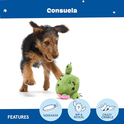 BarkBox Consuela the Cactus 2-in-1 Interactive Plush Dog Toy - color: Consuela - Small