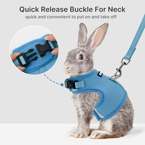 AIITLE Breathable Escape Proof Rabbit Harness and Leash Set, Blue L - color: Blue, size: L