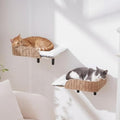 SHENGOCASE 2-Pack Wall Mounted Cat Bed Perch - size: F