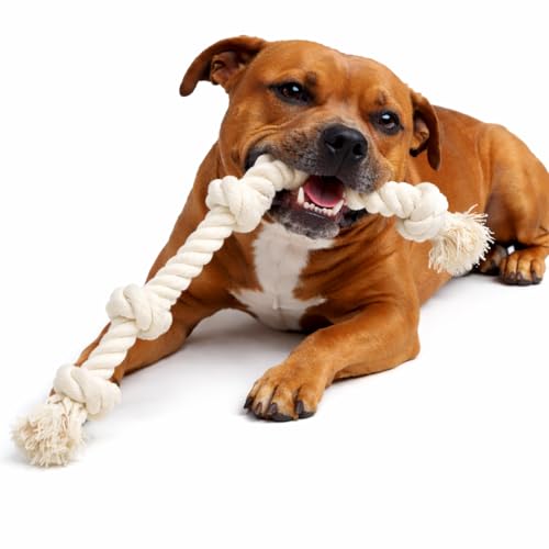 Dog Rope Toys for Large/Medium Aggressive Chewers, Tough Cotton Chew Toy, 39 Inch 5 Knots Indestructible, Tug of War Dog Pull Rope Teeth Cleaning (5 Knots) - size: 5 Knots