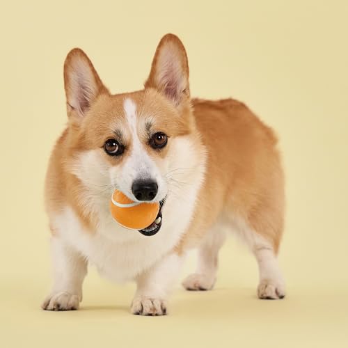 Playology Squeaky Chew Ball Dog Toy - Medium, Cheddar Cheese Scent - size: Medium, style: Cheddar Cheese