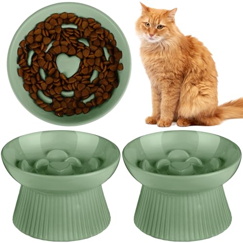 Tioncy 2 Pcs Ceramic Elevated Slow Feeder Cat Bowl, Sage Green - color: Sage Green