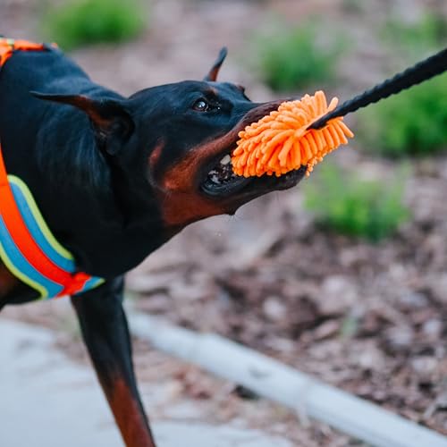 Dingo Dog tug Toy with Bungee Handle, Microfiber, Orange 17in - color: Orange