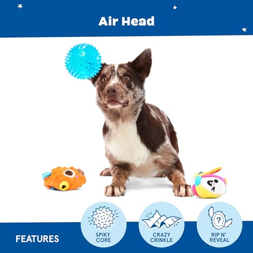 BarkBox Air Head Rip & Reveal Interactive Plush Dog Toy - color: Air Head - Large