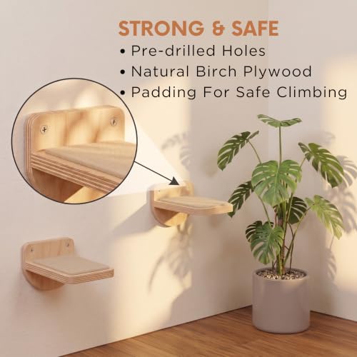 INICIO Cat Wall Steps - 3 Pack of Stairs for Cats to Climb - Natural Wood