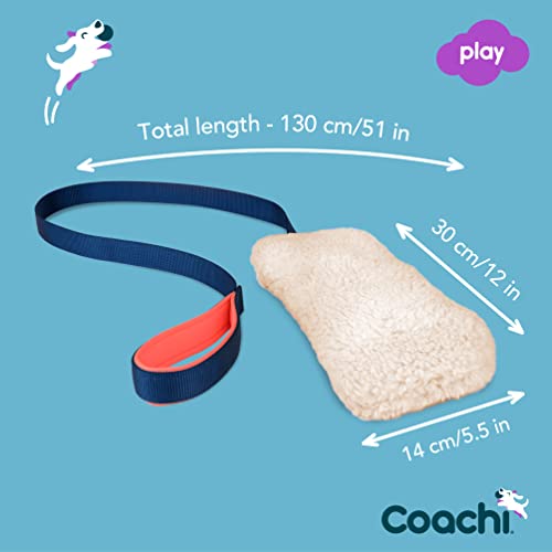 Coachi Chase & Crinkle - A Fun Enrichment Dog Toy for Chase & Play - style: Chase & Crinkle