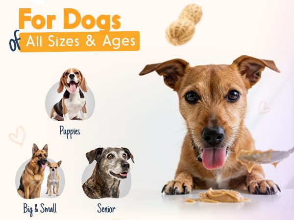 Pumpkin Pup Buddy BUDDER, 100% Natural Dog Peanut Butter, Healthy Peanut Butter Dog Treats, Made in USA, (17oz Jars) - size: 1.06 Pound (Pack of 1)