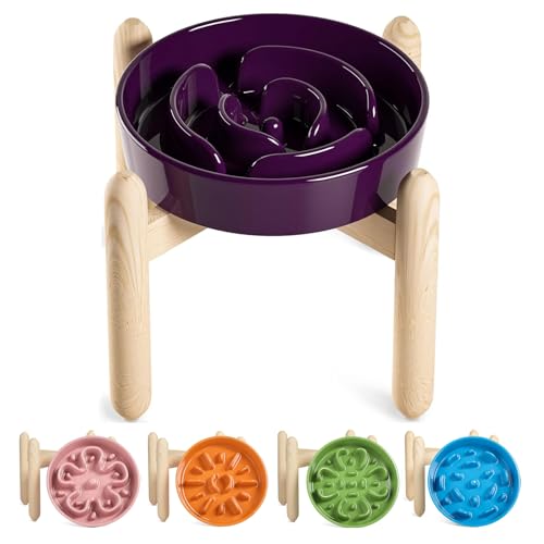 LE TAUCI Ceramic Slow Feed Dog Bowls, Elevated for Small and Medium Breed Dogs, Anti-Gulping Pet Feeding Dishes, Maze Purple, 1.5 Cups - color: Maze Purple+Stand, size: M-1.5 Cups