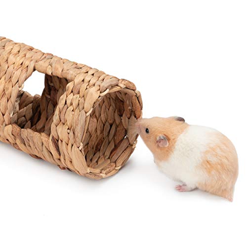 Niteangel Creative & Composable Hamster Tunnel: Edible Water Hyacinth & DIY - size: SHLD