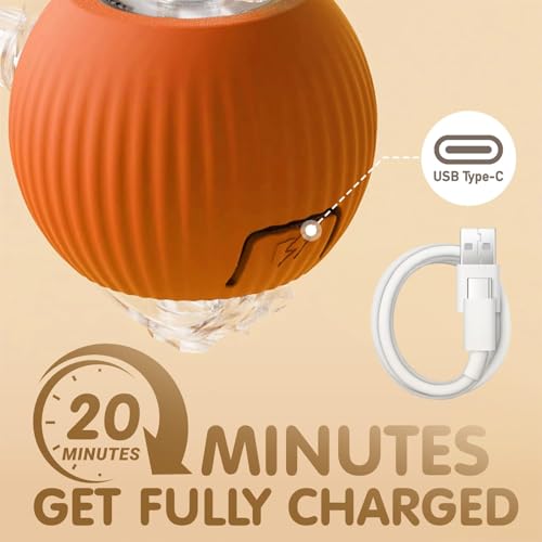 Rocfish Durable Interactive Cat Toys for Indoor Cats (Orange, 01) - color: Orange01, size: 01
