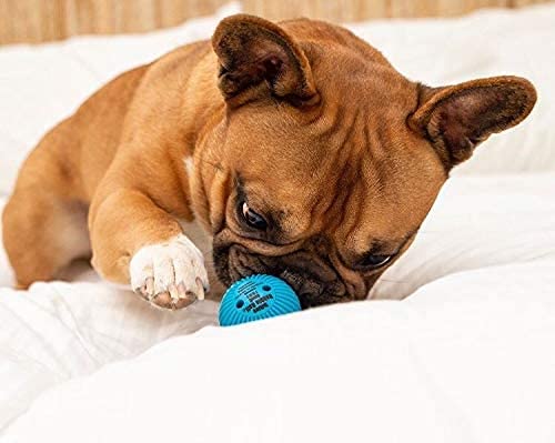 Pet Qwerks Talking Babble Ball - Interactive Chew Dog Toy - Large - size: Large, style: Talking Babble