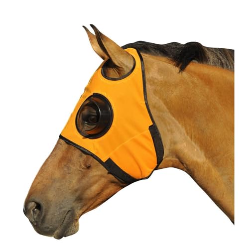 Intrepid International Horse Mask - Quarter Cup Blinker Hood for Racing & Training, Stretchable Material, Touch Tape Closure, Blinders, Limited Side and Back Visibility Aid - color: Orange