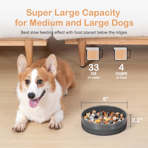 Sted Ceramic Slow Feeder Dog Bowls with Silicone Base - color: Grey, size: Medium-8 inches