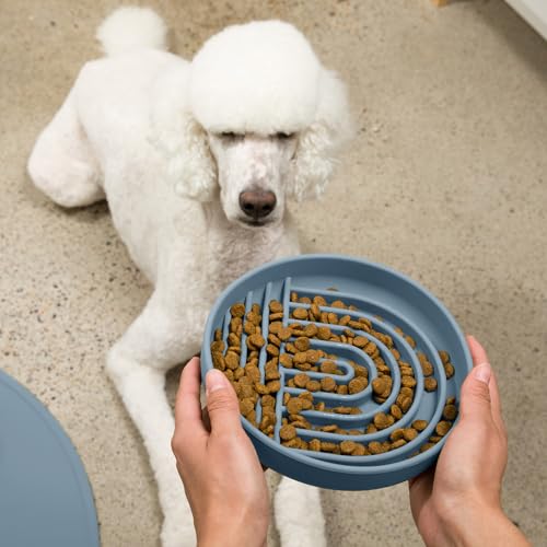 Slow Feeder Dog Bowl - Silicone Dog Bowl, Large, 9.5" x 1.5" - Ocean - color: Ocean - Rainbow Design, size: Large (9.5” Across and 1.5” Tall)