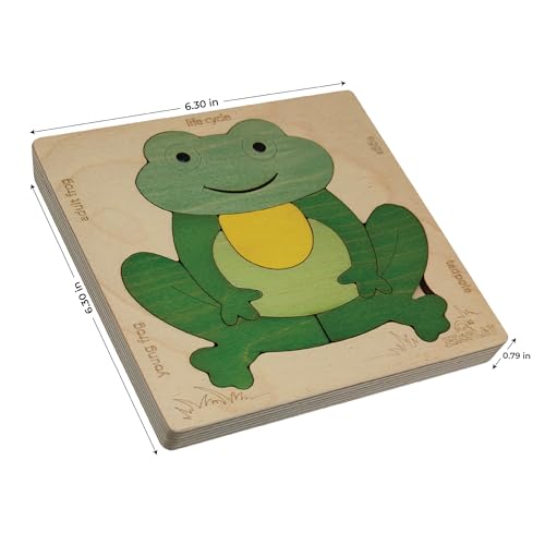 Life Cycle of a Frog 15 Piece Wooden Multilayered Jigsaw Puzzles for Kids Educational Toy and Gift for Boys & Girls 3 Years and Above - style: Lifecycle of a Frog