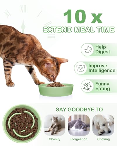 TRUVIC Ceramic Slow Feeder Dog Bowls Small Breed, 0.6 Cup Slow Feeder Cat Bowls for Fast Eaters, Ceramic Dog Food Dish no Black Chin, Puzzle Bowl for Small Dogs and Cats, Green - color: 04-Green, size: S-0.6 Cups