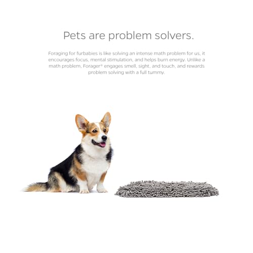 Pet Parents Forager Slow Feeder Dog Bowl & Snuffle Mat - SoftSnout, Non-Slip Backing (Forest 12")