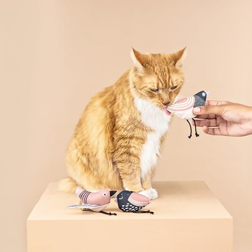 Fringe Studio, Under My Wings, Durable Cotton Canvas Cat Toy, 3PCS Set, PetShop Collection (904029) - color: Under My Wings