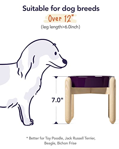LE TAUCI Ceramic Slow Feed Dog Bowls, Elevated for Small and Medium Breed Dogs, Anti-Gulping Pet Feeding Dishes, Maze Purple, 1.5 Cups - color: Maze Purple+Stand, size: M-1.5 Cups