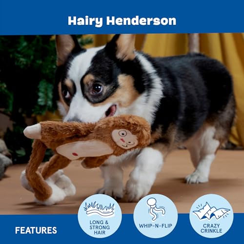 BarkBox Hairy Henderson Dog Toy - Fun for Dogs - color: Hairy Henderson