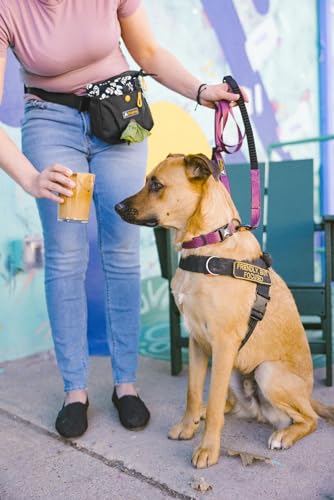OllyDog Backcountry Day Bag | Hands-Free Dog Training Treat Pouch | Fanny/Hip Pack with Zipper Closure & Built-in Poop Bag Dispenser | Removable Waist Clip (Lotus) - color: Lotus