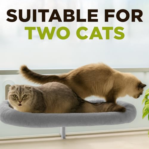 Cat Window Perch – Strong 6 Suction Cup Foldable Cat Hammock Bed for Large Cats and Kittens That Holds up to 50 lbs with Washable Reversible Cover, Sturdy Metal Frame for Window (Gray) - color: Gray
