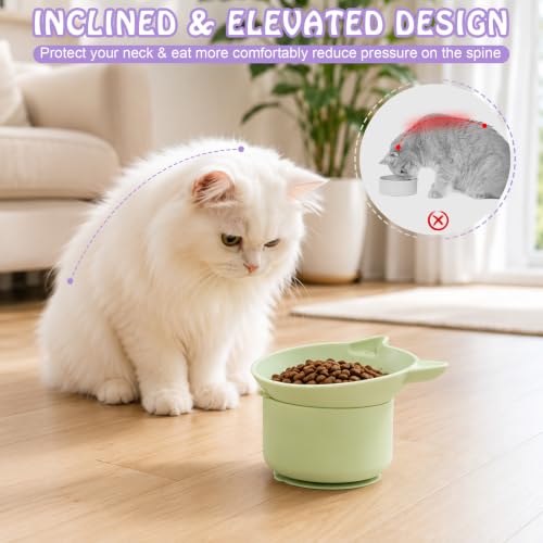 2 Pack Silicone Cat Slow Feeder,Tilted Design with Non Slip Base