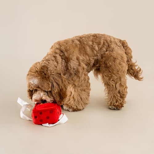 CHEWFFON Gift Box Snuffle Dog Toy, Interactive Treat Hiding Puzzle Toy - style: Gift Box