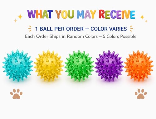 Squeaky Spiky Dog Ball 2.5 Inch for Small Medium Dogs (Color Varies), Teeth Cleaning & Gum Massage, Spiny TPR Rubber Chew Toy for Fetch Play, Interactive Bouncy Dental Ball, Durable BPA Free - size: Color Varies, Ball - 1 Pack