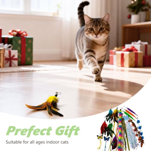 Cat Wand Refills, Interactive Cat Toys Replacement with Feather, Worm, Ribbon, Caterpillar, Butterfly Attachments, Retractable Cat Teaser Wand Refill (Feather+String 10 Pack) - color: Feather+String 10 Pack
