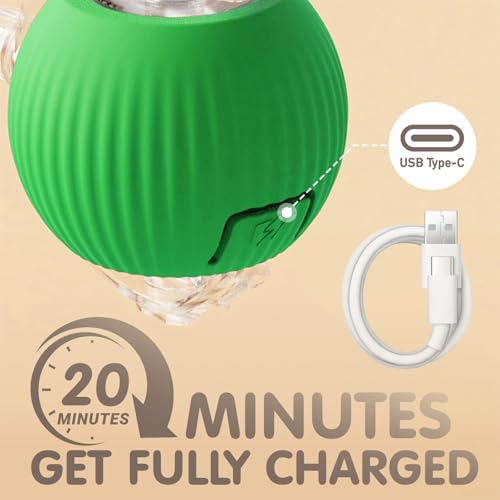 Rocfish Durable Interactive Cat Toys for Indoor Cats (Green, 01) - color: green01, size: 01