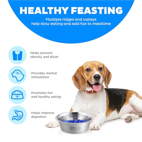 Outward Hound Fun Feeder Stainless Steel Slo Bowl for Dogs, 8.3", Medium (Pack of 12) - color: Stainless Steel, size: Medium (Pack of 12)