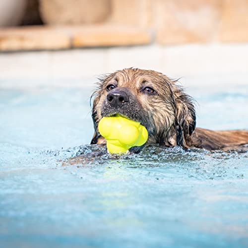 Hyper Pet Fetching Dog Toys - Throwing Bumpy Ball Dog Toy Made with EVA Foam - Lightweight & Floats on Water - size: One Size, style: Bumpy Ball