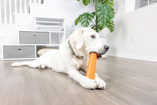 Chuckit! Super Crunch Fetch Stick Dog Toy, Durable TPR, Breeds 20-100 lbs - style: Super Crunch Stick