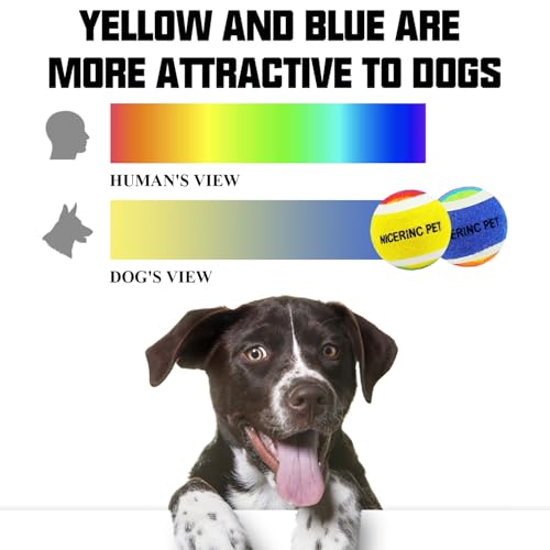 X-Small Dog Tennis Balls Dog Toys Ball 1.5" Pack of 12, Fit Ball Launchers - color: Yellow&Blue Rainbow tennis balls