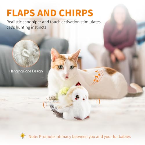 Gigwi Flappy Bird Cat Toy For Indoor Cats, Rechargeable Lifelike Sandpiper Interactive Flapping Bird Cat Toy Tweet, Flapping Wings & Lively Chirping, Catnip Toys For Kitten, Touch Activated (Princess) - color: Princess