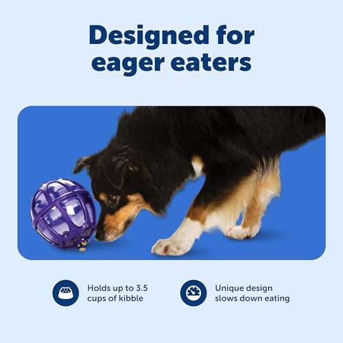 PetSafe Busy Buddy Kibble Nibble Treat Dispensing Dog Toy, Medium/Large