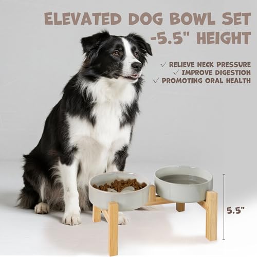 Elevated Ceramic Dog Bowls Set, Slow Feeder with Stand