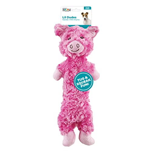 Outward Hound by Charming Pet Lil' Dudes Pig Plush Squeaky Dog Toy - color: Lil' Dudes Pig, size: 1 Count