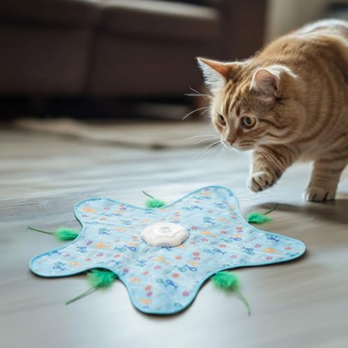 Lewtemi 9 Pcs Interactive Hide and Seek Cat Toys Replacement Feather