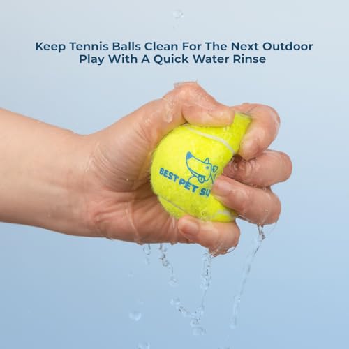 Best Pet Supplies Interactive Squeaky Dog Chew Toy, Ideal Dog Toys for Chewers, Small, Medium & Large Dogs, and Fetch Lovers - Tennis (Yellow), Small (Pack of 4) - color: Tennis (Yellow), size: Small