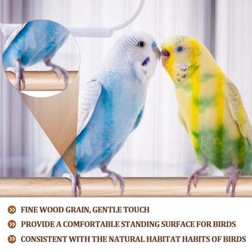 Sintuff Bird Perches Natural Wood Double Slots, 24 Inches, 8 Pcs - size: 24 Inches