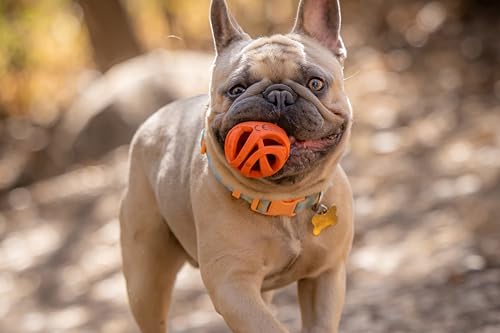 Chuckit! Air Fetch Dog Toy,(2 Inch Diameter), for Dogs 0-20 lbs, Ball - Small (Pack of 12) - size: Ball - Small (Pack of 12)
