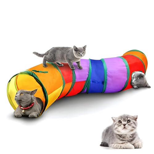 Rainbow Cat Tunnel