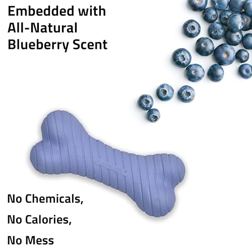 Playology Dual Layer Bone Dog Chew Toy - Medium, Blueberry Scent - size: Medium, style: Blueberry