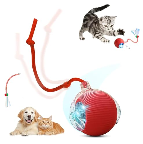 Interactive Cat Toy Ball for Indoor Cats, Motion Activated Cat Ball with 3 Speeds, 2 Replaceable Tails, Safe Material Kitten Toys, USB Charging, 360° Smart Rolling Ball for Bored Adult Cats and Dogs