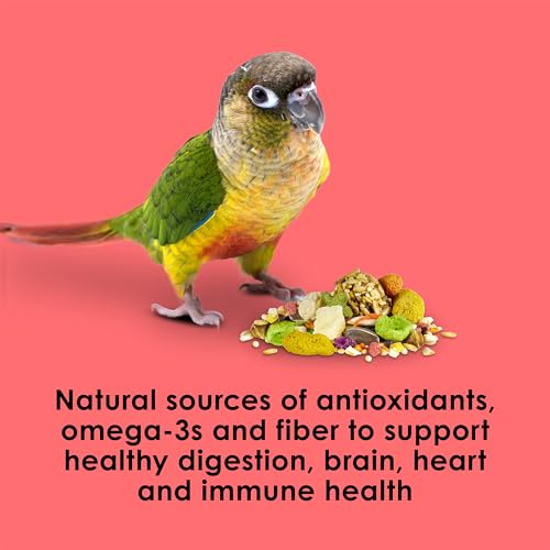 Kaytee Fiesta Conure Bird Food, Nutritious Fun Blend, 4.5 Pounds