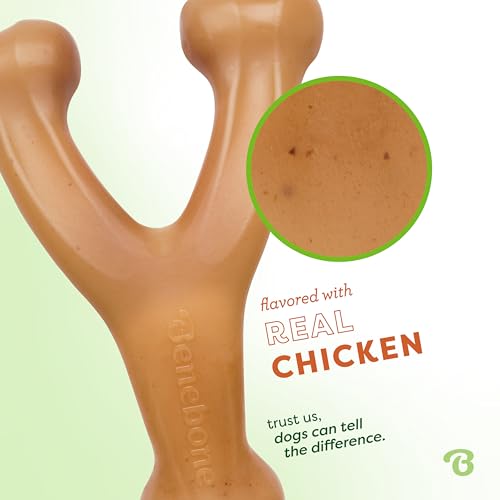 Benebone Wishbone Dog Chew Toy for Aggressive Chewers, Real Chicken, Giant - size: Giant
