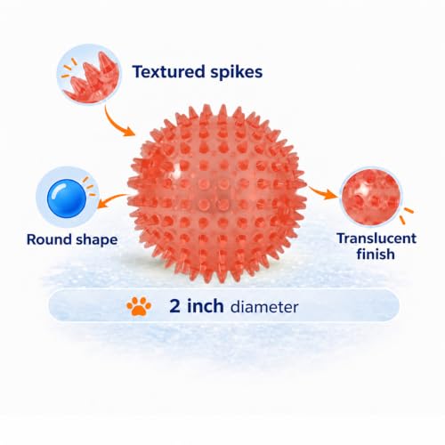Squeaky Spiky Dog Ball for Teeth Cleaning & Gum Massage 2 Inch Puppy Small Dogs Red | Spiny TPR Rubber Chew Toy for Fetch Play Interactive Bouncy Dental Ball Durable BPA Free Nontoxic Floats - size: 2 Inch Red Ball 1-Pack